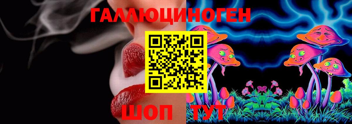Курчатов  Галлюциногенные грибы GOLDEN TEACHER  Вход с VPN  Галлюциногенные грибы ЛСД 